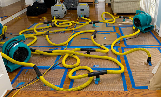 Professional Water Extraction technician working in Gladstone, MO